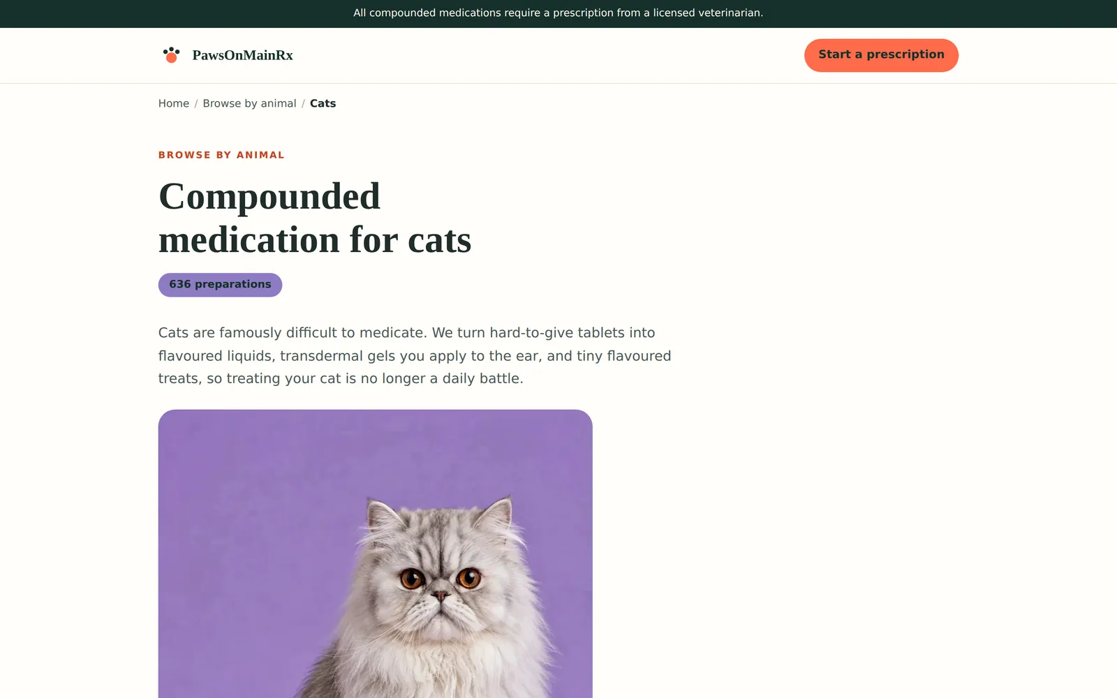 PawsOnMainRx: Cats