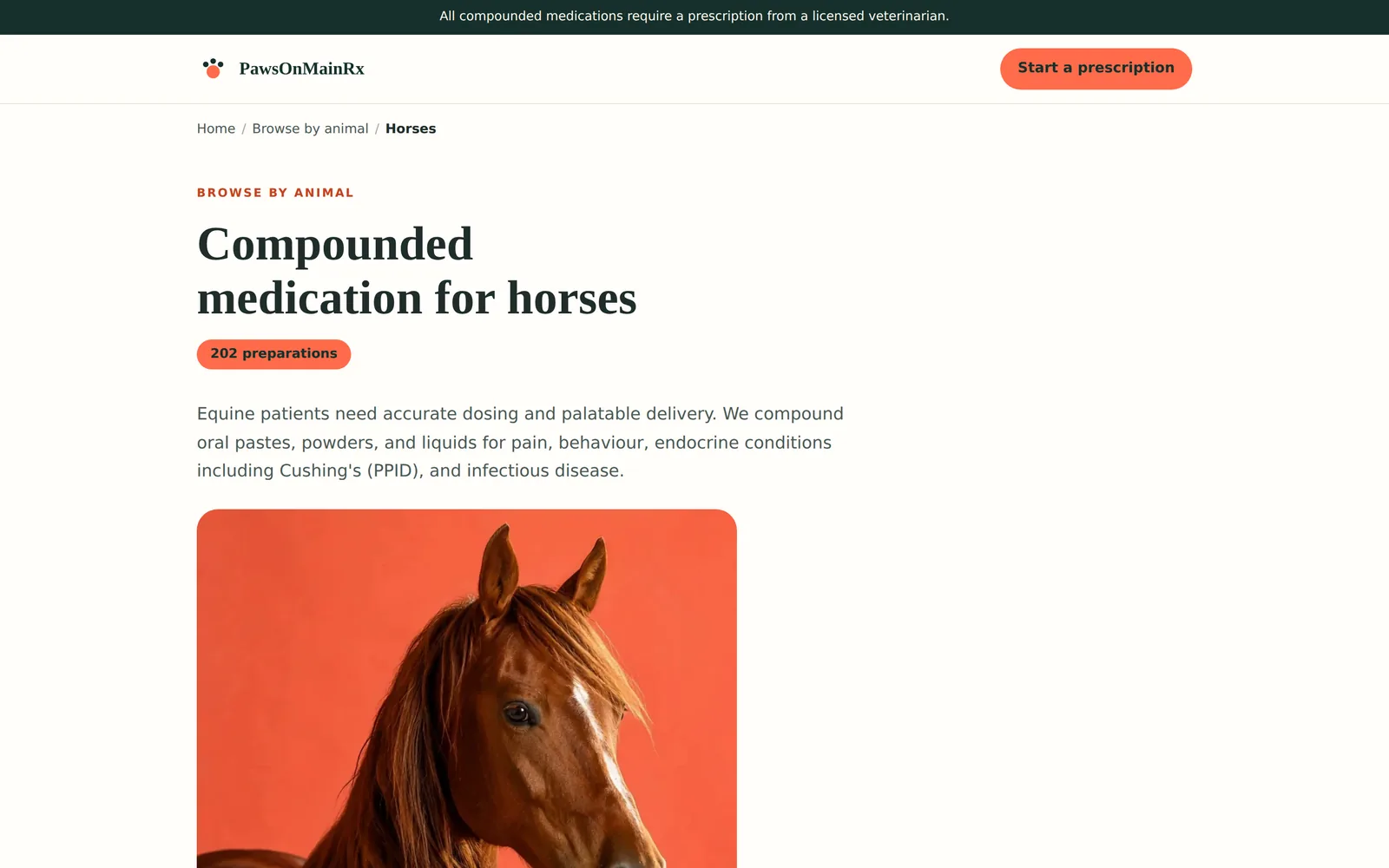 PawsOnMainRx: Horses