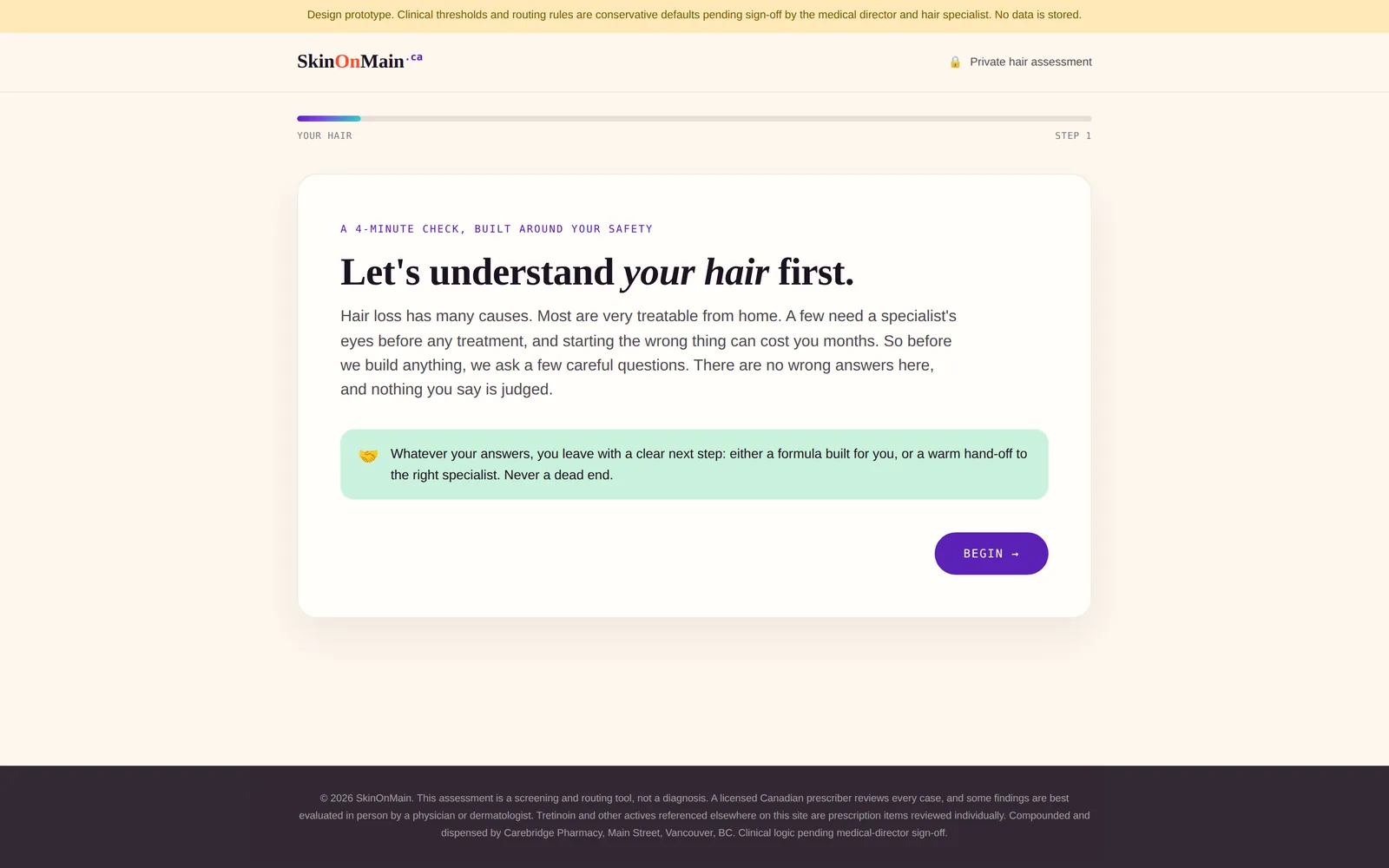 SkinOnMain: Hair assessment